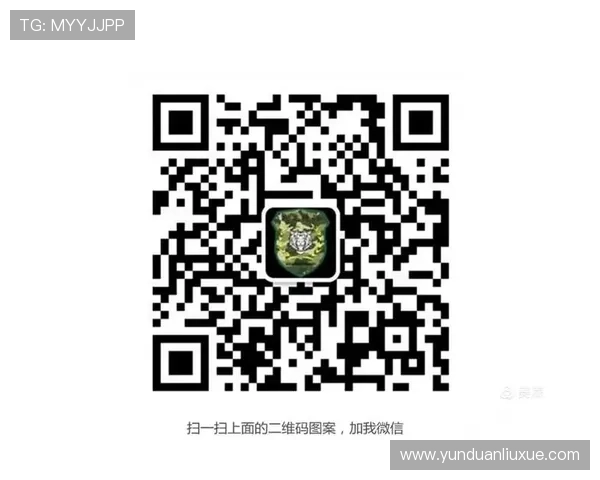 开云app官方官网下载二维码，安全高效的下载方式让您畅享潮流时尚体验