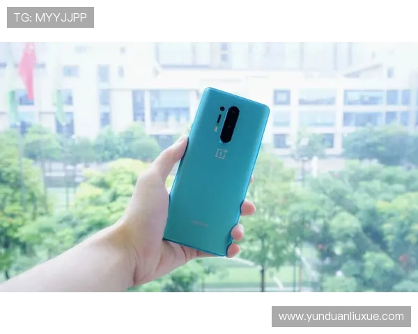 亚星yaxin222手机登录常见问题及解决方法提升登录成功率的实用建议